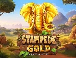 Stampede Gold Game
